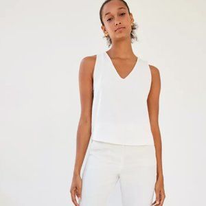 Aritzia Babaton Murphy Sleeveless Blouse